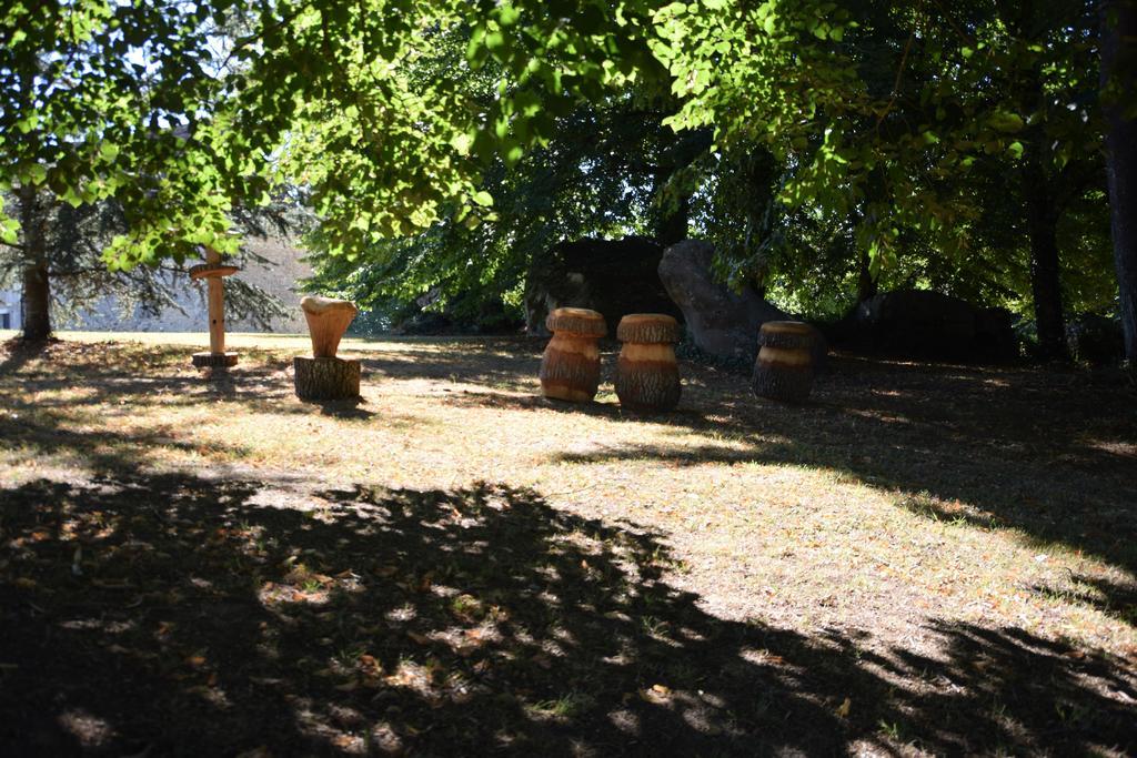 Domaine De La Rocque Bed and Breakfast Liorac-sur-Louyre Exteriör bild